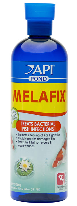 API Pond Melafix