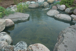 Aquascape Protective Pond Netting - 1/2 – The Bloomin Bog Water Gardens