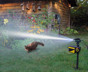 ScareCrow Motion-Activated Animal Deterrent